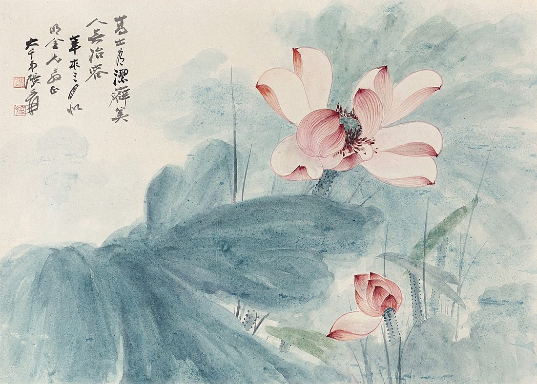 张大千《荷花》